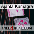 Ajanta Kamagra 32